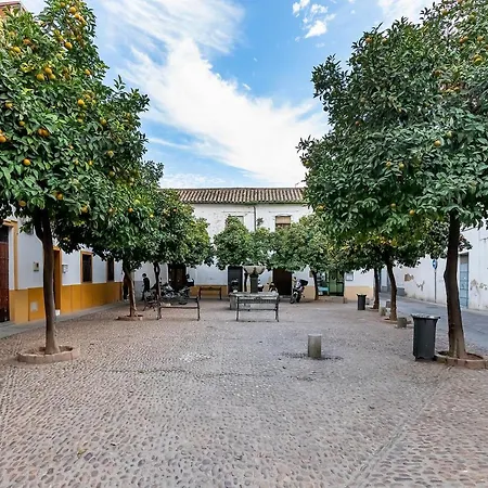 Bhost - Regina Iii * Cordoba